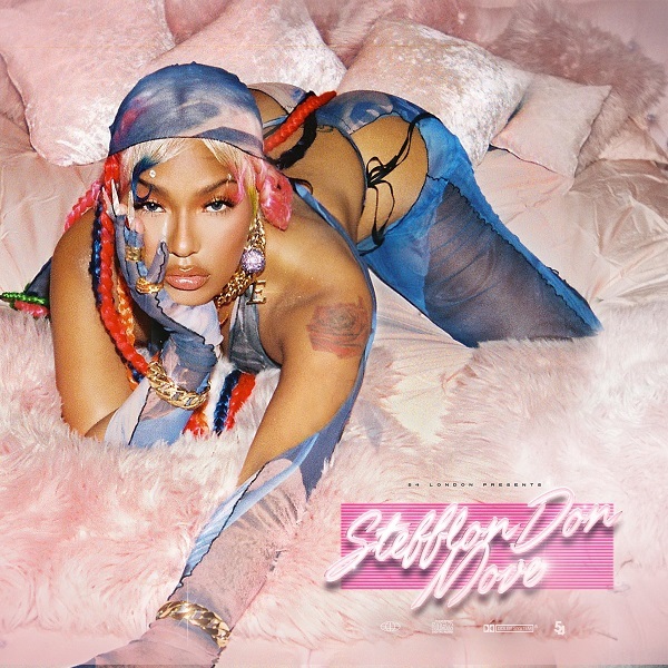 Steflon Don move artcover