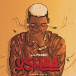 Lil Frosh Oshaa