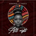 Harmonize All Night