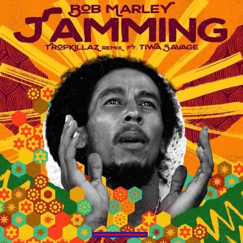 Bob Marley The Wailers Jamming Tropkillaz Remix Ft. Tiwa Savage 1