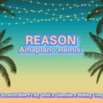 DJ Scratch Ibile ft. Ay Gold x Olamide x Walley Conga – Reason Amapiano Remix