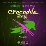 Skillibeng Crocodile Teeth Remix ft Nicki Minaj