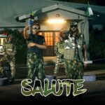 Alikiba Salute Video