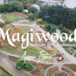 magnito – magiwood ft bovi