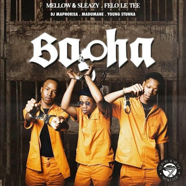 Mellow and Sleazy Bopha
