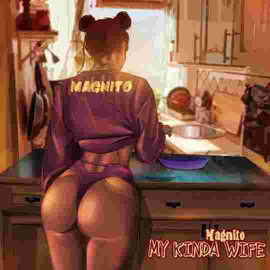 Magnito My Kinda Wife amebo9ja com mp3 image
