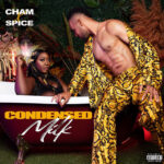 spice cham condensed milk sureloaded.com