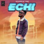 Sparkle Tee Echi mp3 download 1