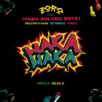 Zoro ft Yaba Buluku Boyz Preck Nelson Tivane DJ Tarico Waka Waka Moza Remix mp3 image