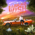 album davolee – earning wish