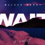 Maleek Berry Wait OFFICIAL AUDIO 2018 mp3 image