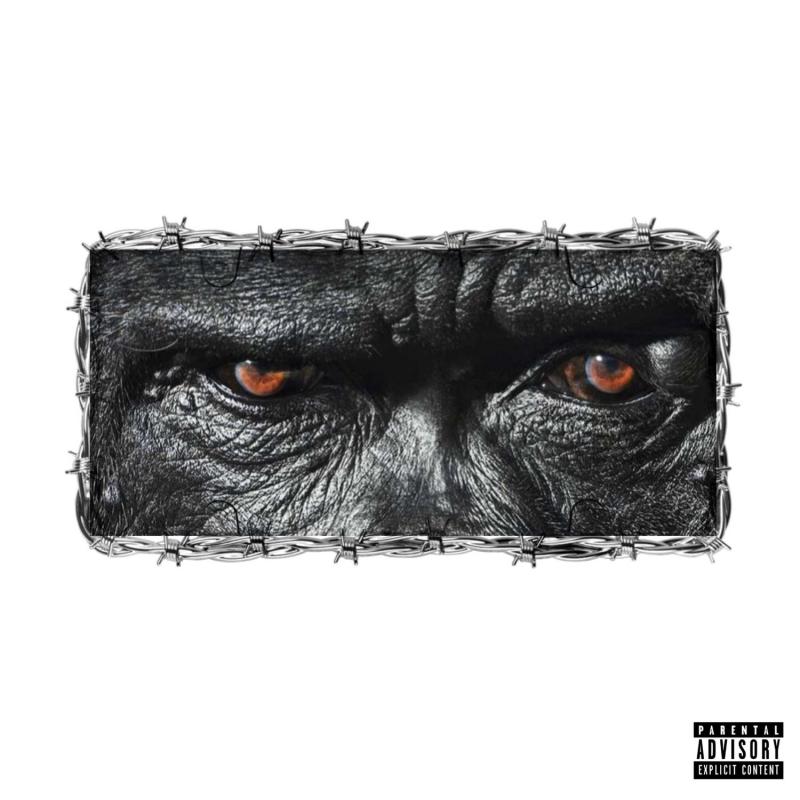 joey b gorilla ft yaw tog sureloaded.com