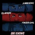 Harrysong