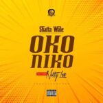 Oko Niko