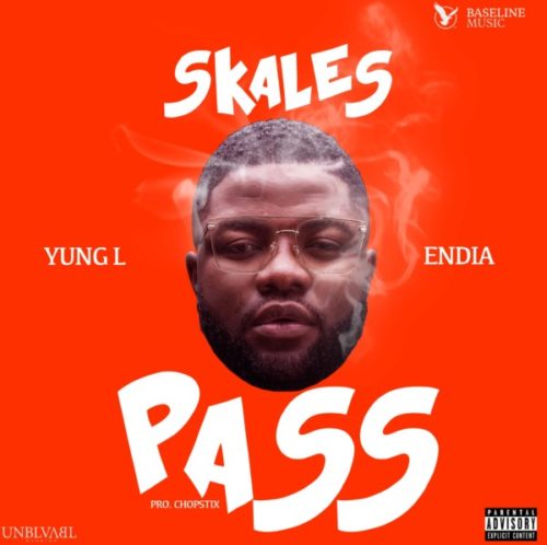 PASS ART 600x597 1