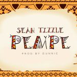 Sean Tizzle – Pempe Artwork