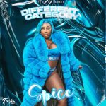 spice different category 1