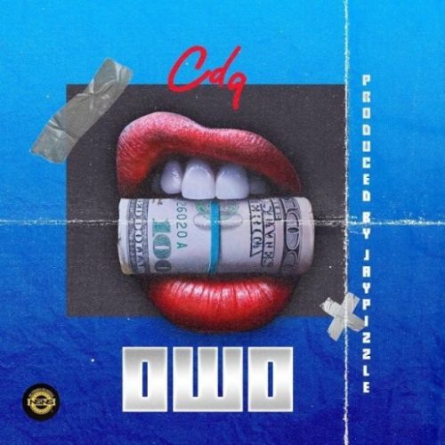 CDQ Owo artwork585x585