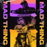 JaySynths Teni DTG Mad Thing