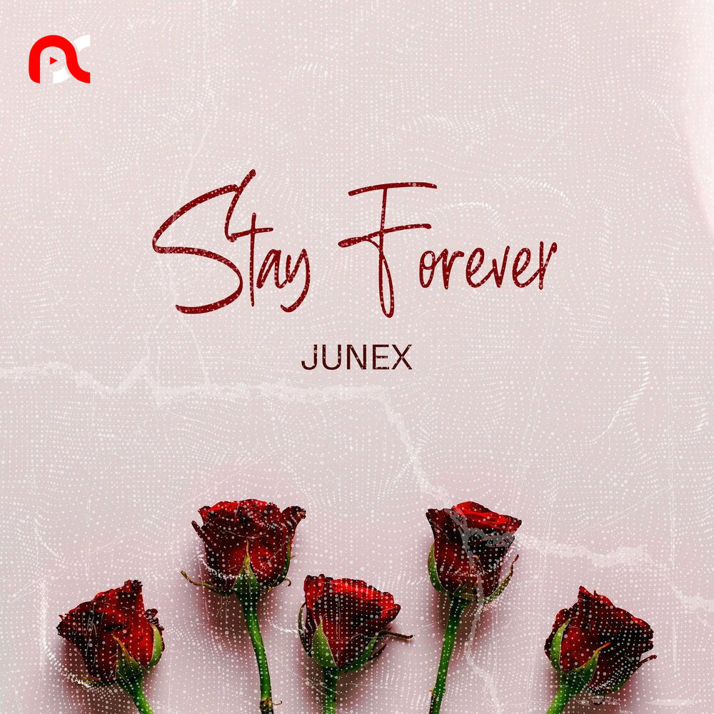 Junex Stay Forever mp3 image