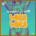 Selebobo ft Davido Waka Waka mp3 image