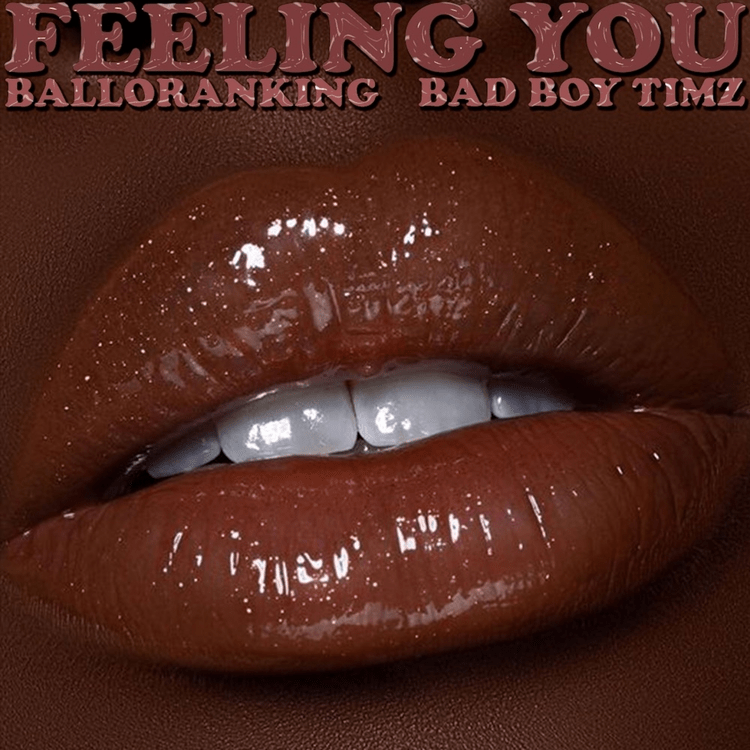 balloranking ft bad boy timz feeling you