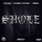 shole artwork