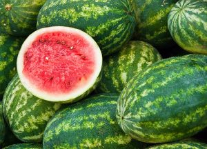 types of melons watermelon