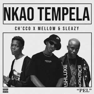 Chicco Nkao Tempela Hip Hop More