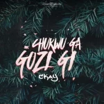 Ckay e1512410497538