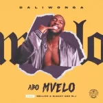 Daliwonga Abo Mvelo ft. M.J Mellow Sleazy trendyhiphop.com 1
