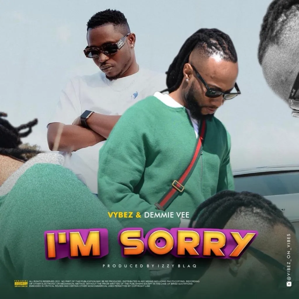 Im Sorry by Vybez Visionz Ft Demmie Vee