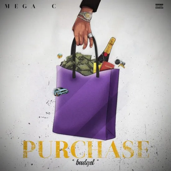Purchase Budget by Mega C