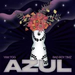 Yaw Tog Azul