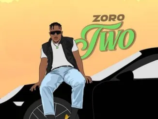 Zoro Two scaled 1