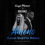 David Guetta Ameno Amapiano Remix art