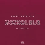 Busta 929 ft ShabZi Madallion Boohle Ngixolele Bootleg Remix