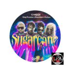 Camidoh Sugarcane Remix Ft King Promise x Mayorkun Darkoo 300x300 1
