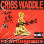 Criss Waddle – Take Me Back ft. Stonebwoy 1