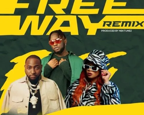 Tripsy, Lady Du, Davido & Nektunez – Freeway (Remix) ft. DJ Pee Raven Tripsy Lady Du Davido Nektunez – Freeway Remix ft. DJ Pee Raven