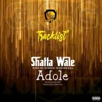 Shatta Wale – Adole