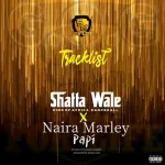 Shatta Wale – Papi ft. Naira Marley