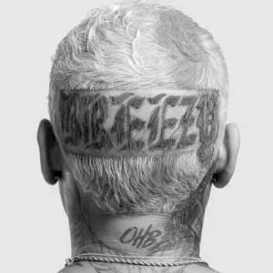 Chris Brown – Call Me Everyday ft. Wizkid images 32