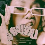 Khanyisa – iNkukhu Ft. Kabza De Small Da Muziqal Chef