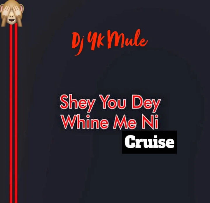 DJ YK Mule – Shey You Dey Whine Ni (Cruise) (Mp3 Download)