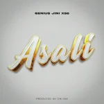 Geniusjini X66 - Asali