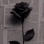 Marioo - Dear Mama