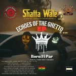 Shatta Wale – Rise Anyway