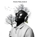 DJ Khalipha – Mara Feelings 2