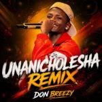 Don Breezy – Unanicholesha (Remix)